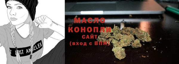 гидропоника Горняк