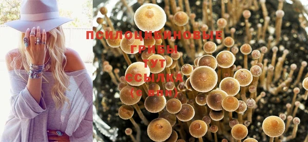 гидропоника Горняк