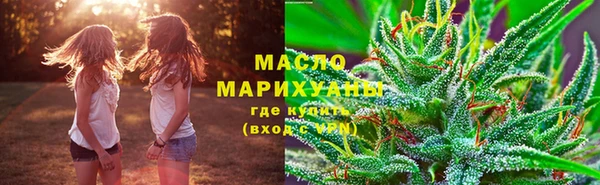 гидропоника Горняк