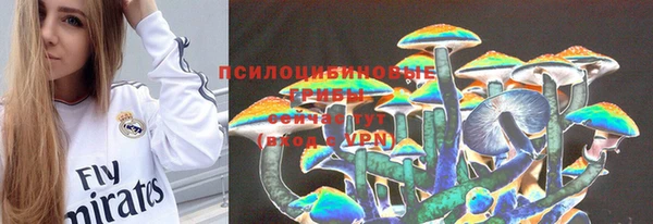 синтетический гашиш Горнозаводск