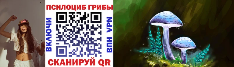 Купить  Онега  Псилоцибиновые грибы мицелий 